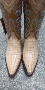 IMG_20260305_100257_231